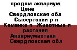 продам аквариум › Цена ­ 4 000 - Свердловская обл., Сысертский р-н, Каменка п. Животные и растения » Аквариумистика   . Свердловская обл.